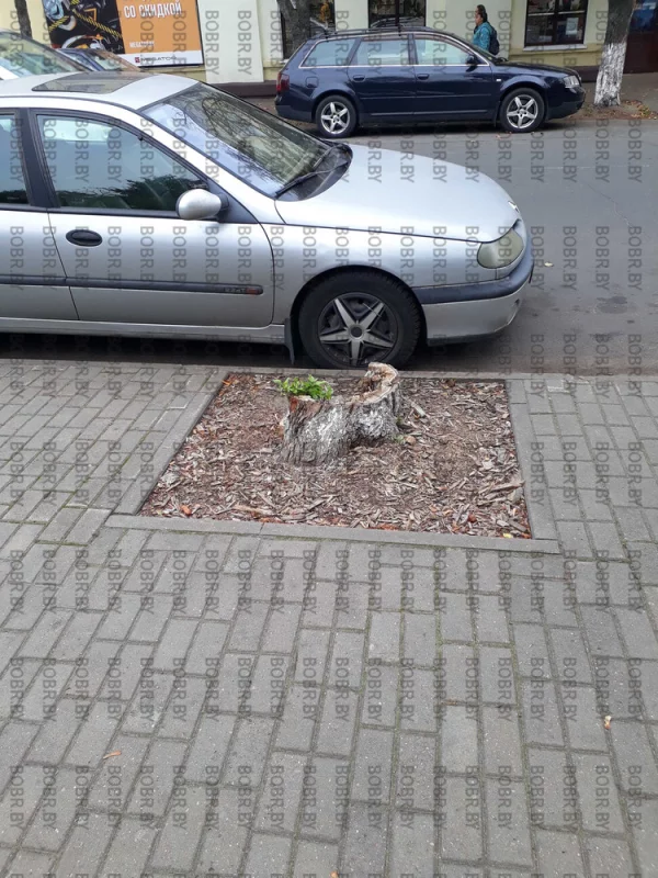 Обрезка