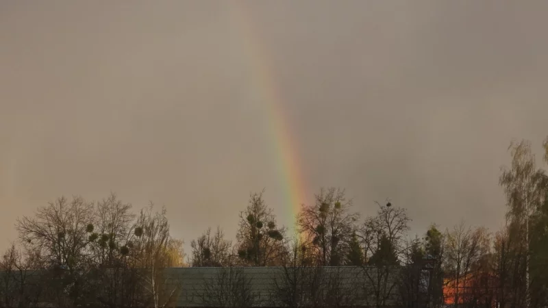 Дожь+солнце = радуга