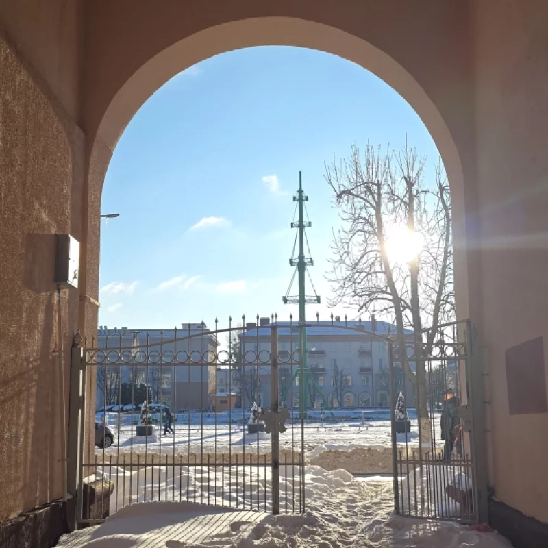 Ёлочка прощай!