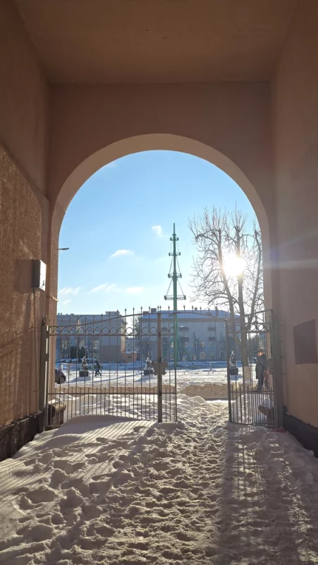 Ёлочка прощай!