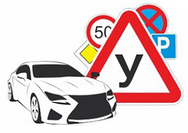 Алана. Автошкола