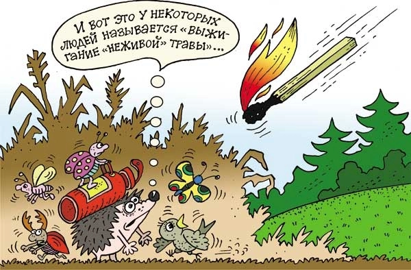 Весенние палы сухой растительности