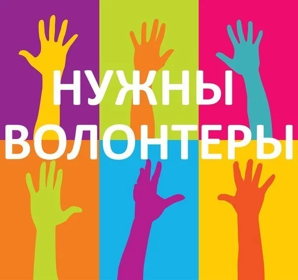 Разыскиваются волонтеры!