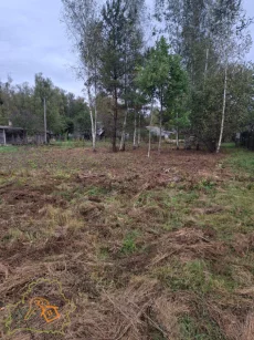 Земельный участок с небольшим домиком