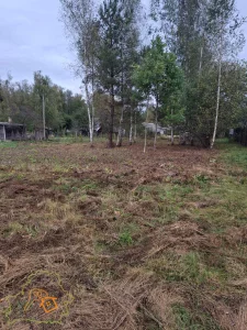 Земельный участок с небольшим домиком