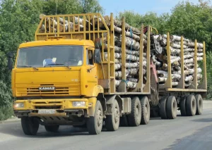 Услуги лесовоза