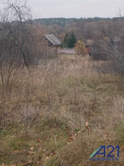 Участок в д. Городок