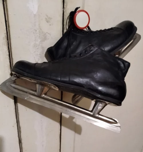 Коньки ледовые мужские