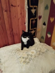 Нужна помощь