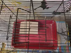 Клетка для грызунов