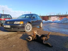 Passat B5 капсула времени