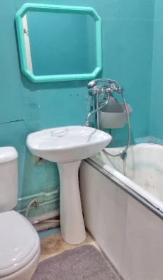 1 комнатная, Орловского