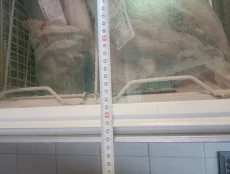 Ларь морозильный 115*65 см. - 600 руб. Возможна доставка.