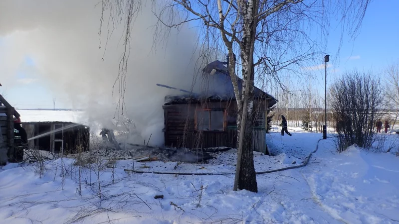 В Бобруйском районе на пожаре погибла пенсионерка