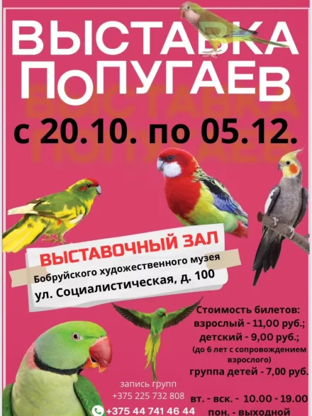 Выставка попугаев в Бобруйском художественном музее