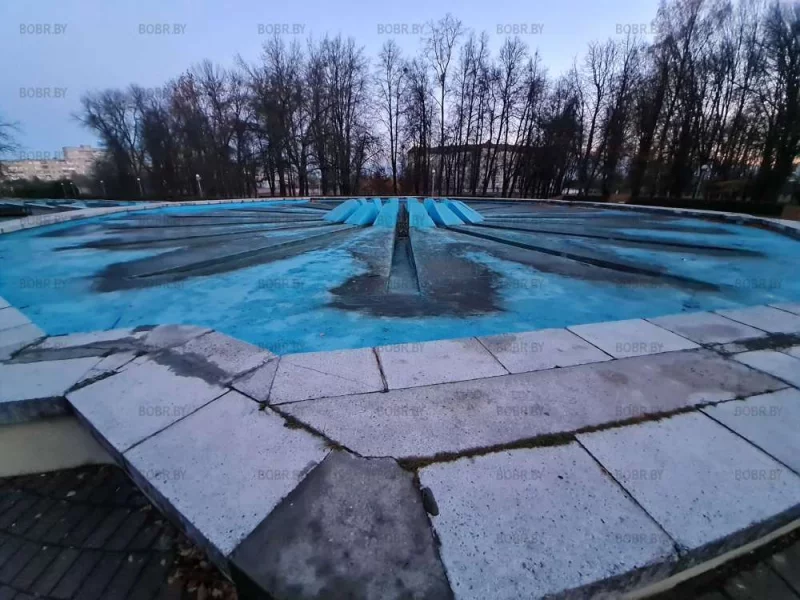 Состояние фонтана в парке вызывает слёзы на глазах. Интересно, в парке есть директор или нет?