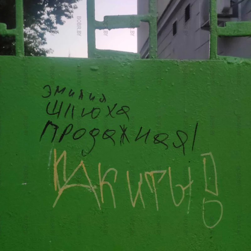 Вандальные надписи, которые не хотят закрашивать. К интересно сколько бы на этом месте продержались политические лозунги?
