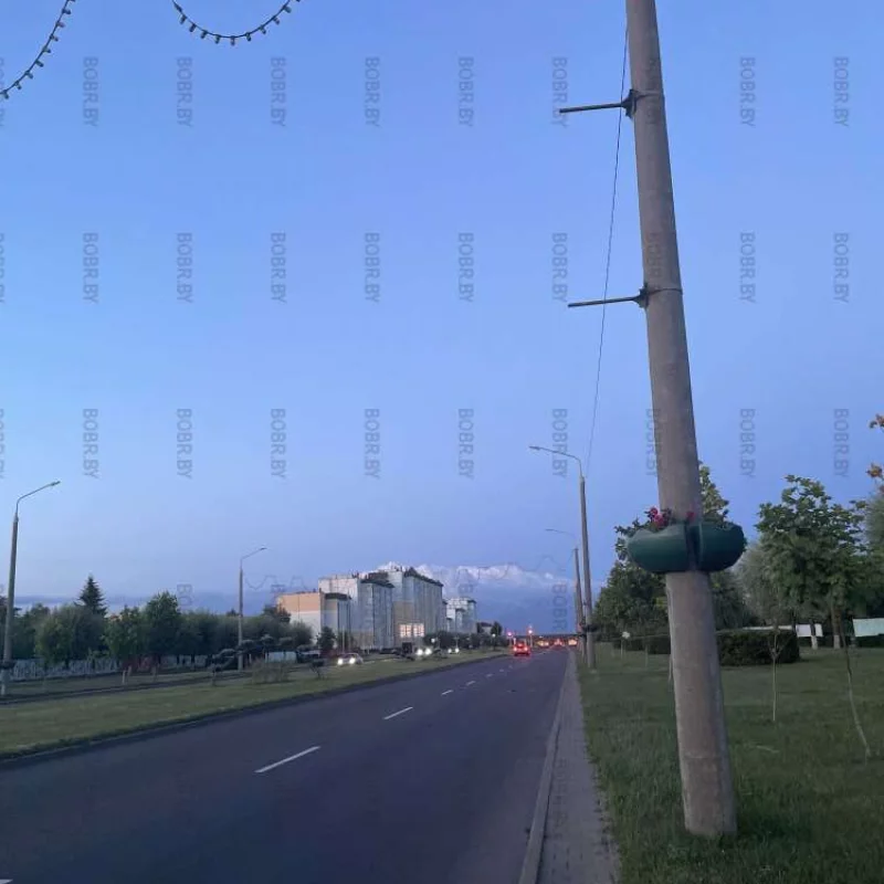 Проспект!