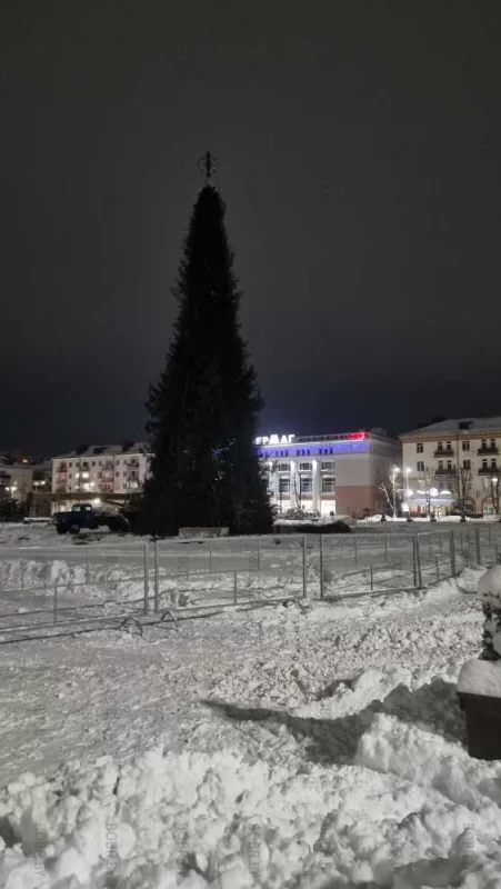 Конусообразная структура из свежесрубленных елей установлена
