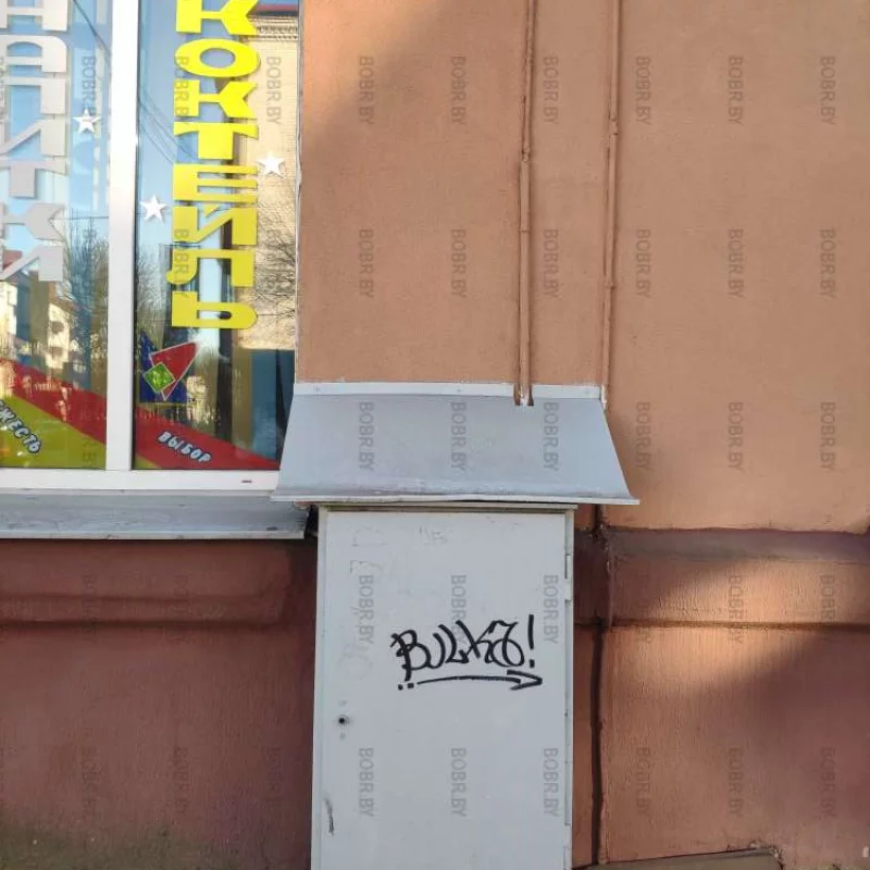 Подпись бобра самуиловича или символ бесхозяйственности в городе.