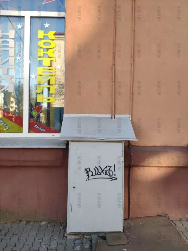 Подпись бобра самуиловича или символ бесхозяйственности в городе.