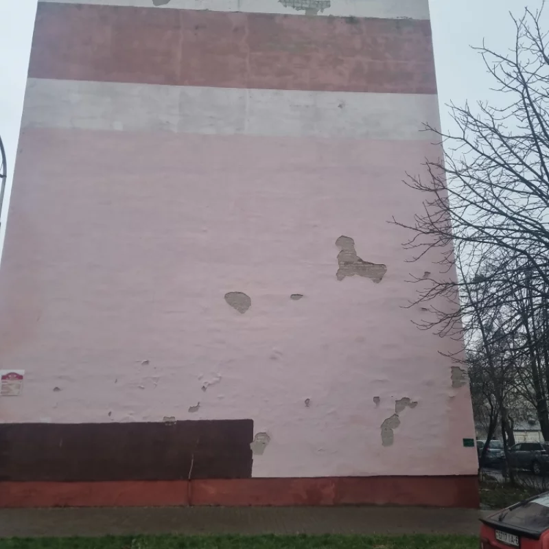 просто облезлый дом