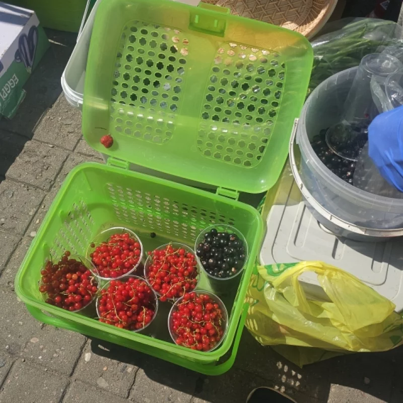 На рынке появилась смородина