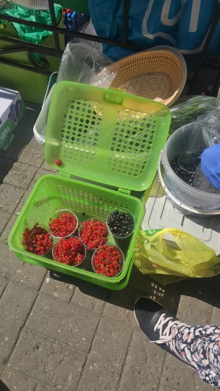 На  рынке появилась смородина
