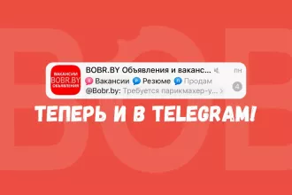 1000+ вакансий и 7000+ объявлений: BOBR.by теперь в Telegram!