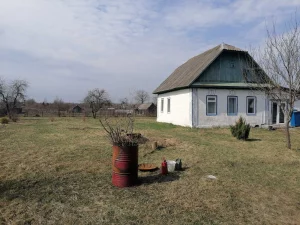 Жилой дом в д. Березовичи