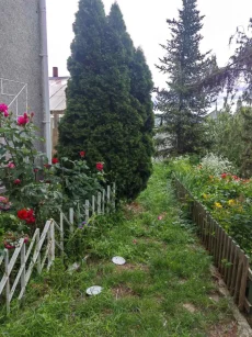 Кирпичная усадьба в самом сердце Бобруйска