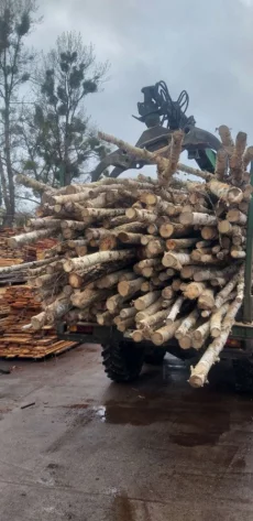 Дрова береза 9 м3 в прицепе