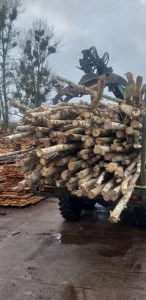 Дрова береза 9 м3 в прицепе