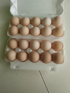Яйцо куриное домашнее