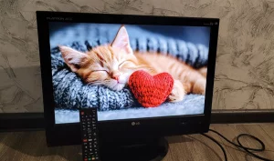 ТВ LG 20"