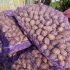Картофель для еды