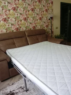 Диван Пинск древ