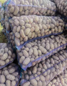 Картофель деревенский