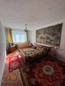 2-комнатная квартира по улице Горелика 54