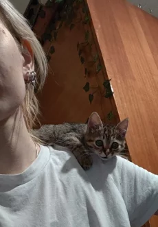 Котёнок. Девочка