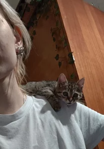 Котёнок. Девочка