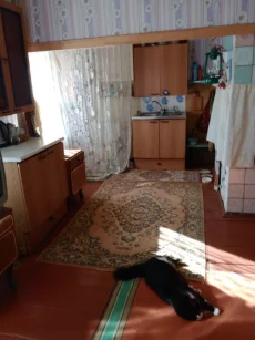 Дов в д.Красная Дуброва