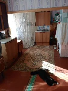 Дов в д.Красная Дуброва