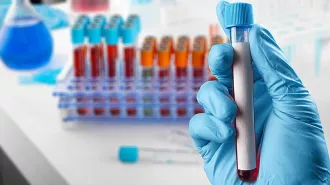 Малярия вновь в Бобруйске