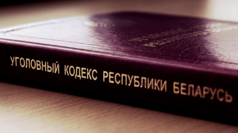 Бобруйчанка, уличенная в мошенничестве, попала под амнистию и снова совершила такое же преступление