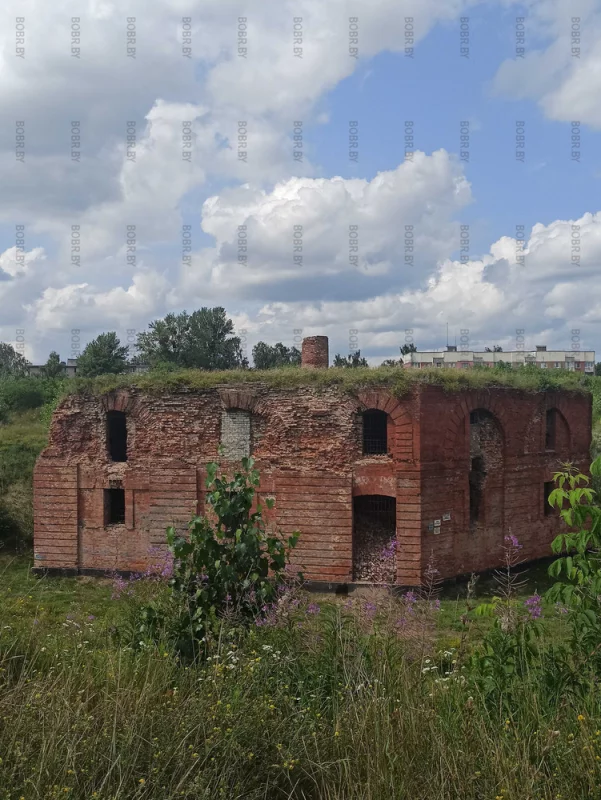 Решетка, колючая проволка, забитые ходы и заложенные кирпичом окна - это наша отношение к истории и памяти?