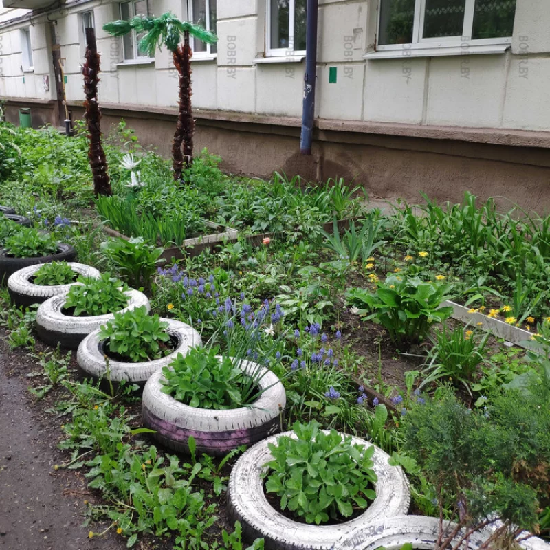 Пластиково - бутылочный art в Бобруйске.