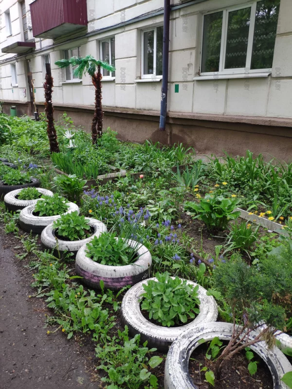Пластиково - бутылочный art в Бобруйске.