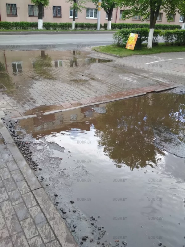 Вечная лужа