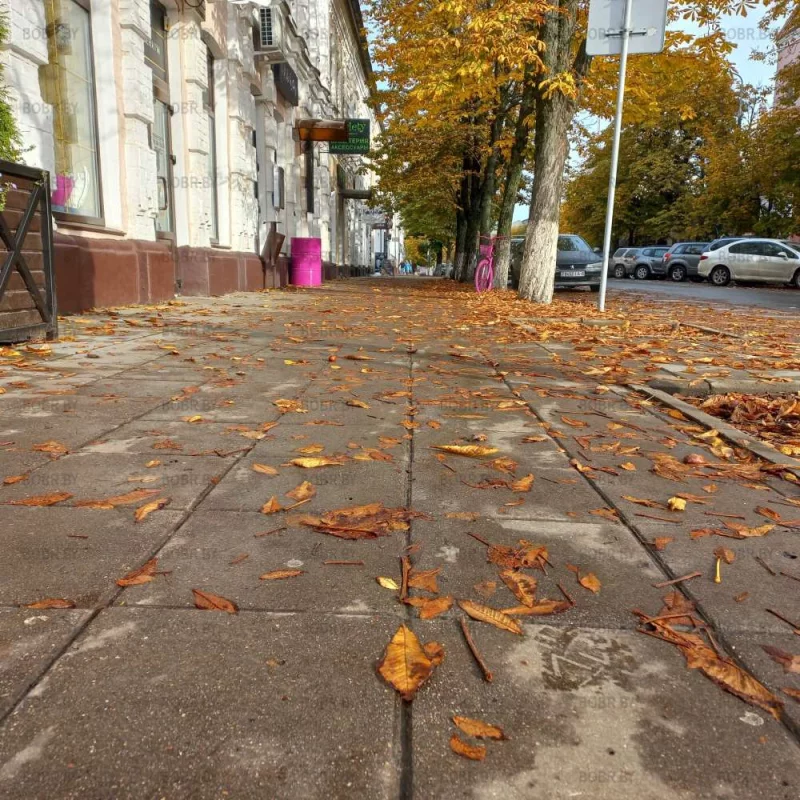 Осень